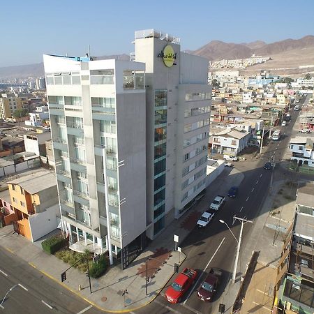 فندق Alto Del Sol Costanera أنتوفاغاستا المظهر الخارجي الصورة